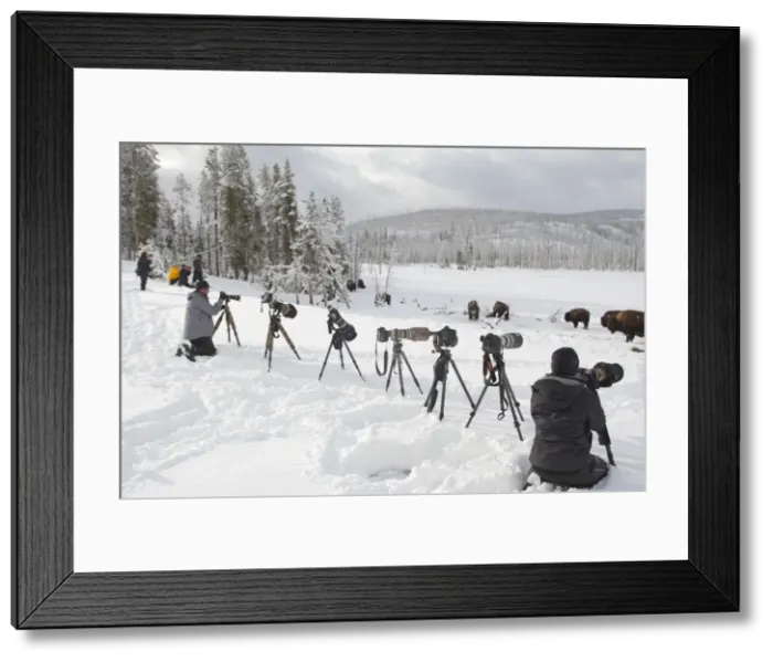 Framed Print : Picture No. 10947621 Framed Print : Picture No. 10947621