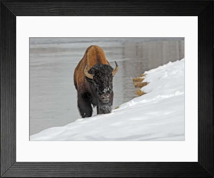 Framed Print : Picture No. 10947622 Framed Print : Picture No. 10947622