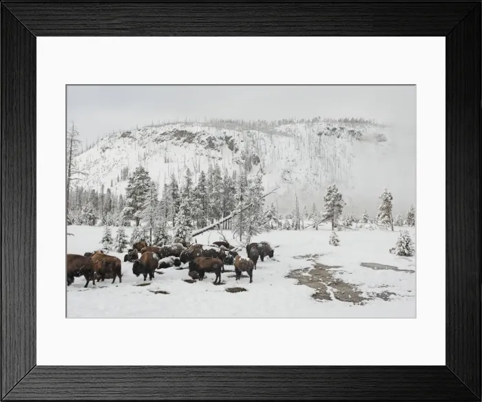 Framed Print : Picture No. 10947619 Framed Print : Picture No. 10947619