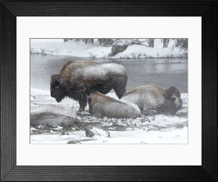 Framed Print : Picture No. 10947626 Framed Print : Picture No. 10947626