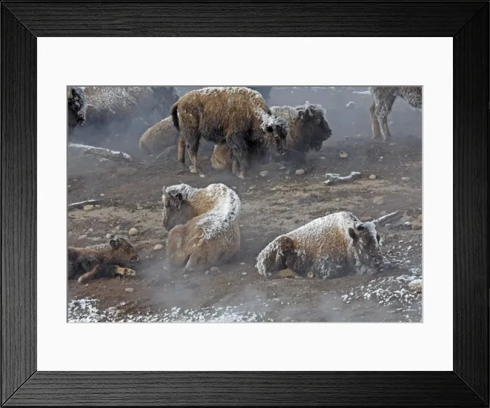 Framed Print : Picture No. 10947634 Framed Print : Picture No. 10947634