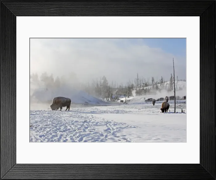 Framed Print : Picture No. 10947632