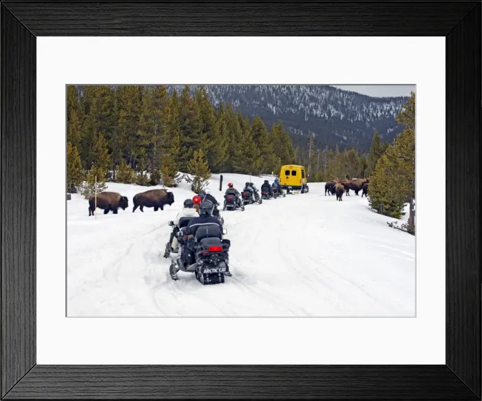 Framed Print : Picture No. 10947635 Framed Print : Picture No. 10947635