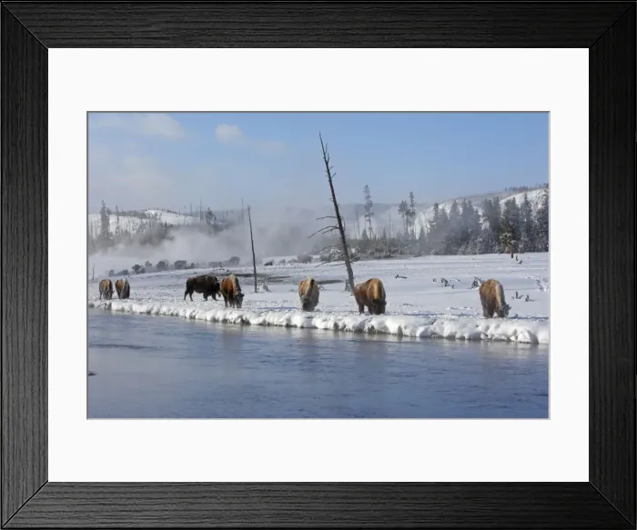 Framed Print : Picture No. 10947633