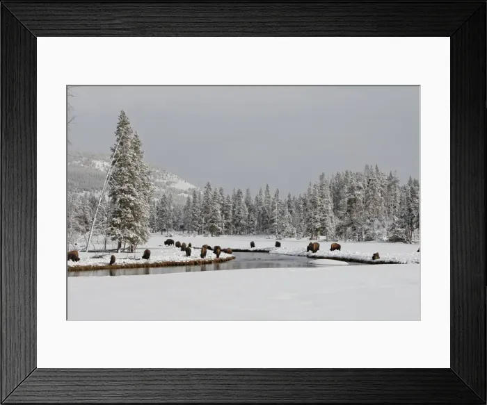 Framed Print : Picture No. 10947639