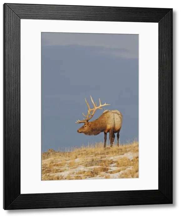 Framed Print : Picture No. 10947643 Framed Print : Picture No. 10947643