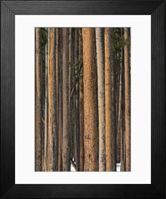 Framed Print : Picture No. 10947650 Framed Print : Picture No. 10947650