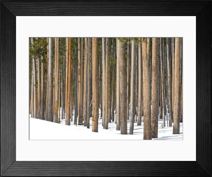 Framed Print : Picture No. 10947654 Framed Print : Picture No. 10947654