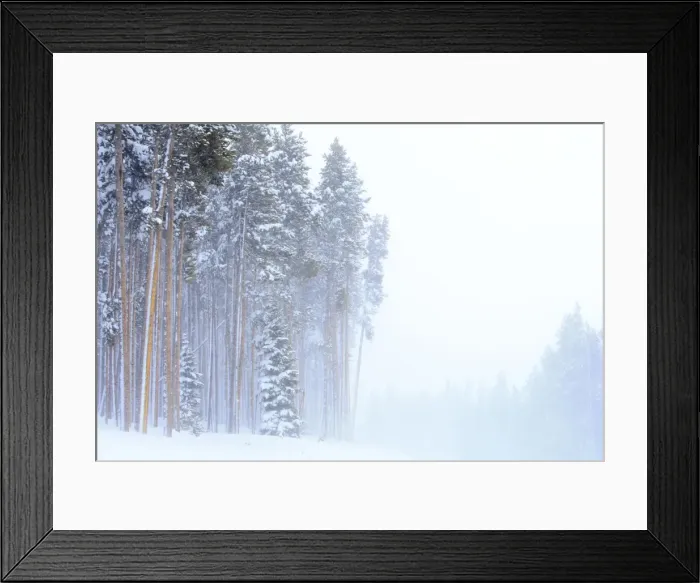 Framed Print : Picture No. 10947652 Framed Print : Picture No. 10947652