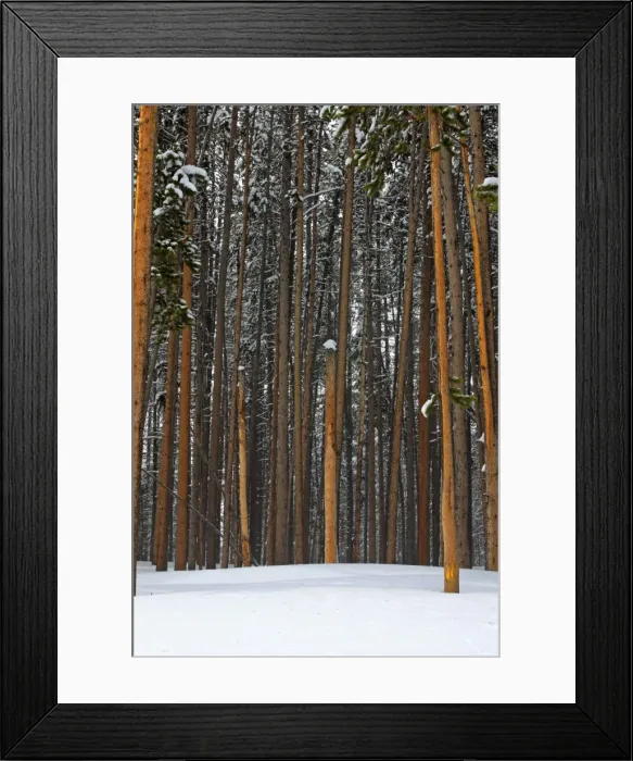 Framed Print : Picture No. 10947653 Framed Print : Picture No. 10947653