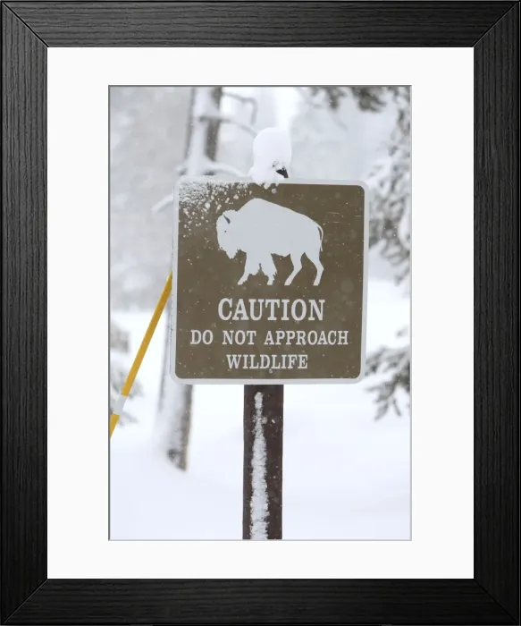 Framed Print : Picture No. 10947664 Framed Print : Picture No. 10947664