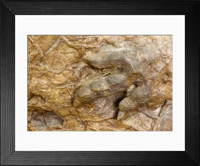 Framed Print : Picture No. 10947714 Framed Print : Picture No. 10947714