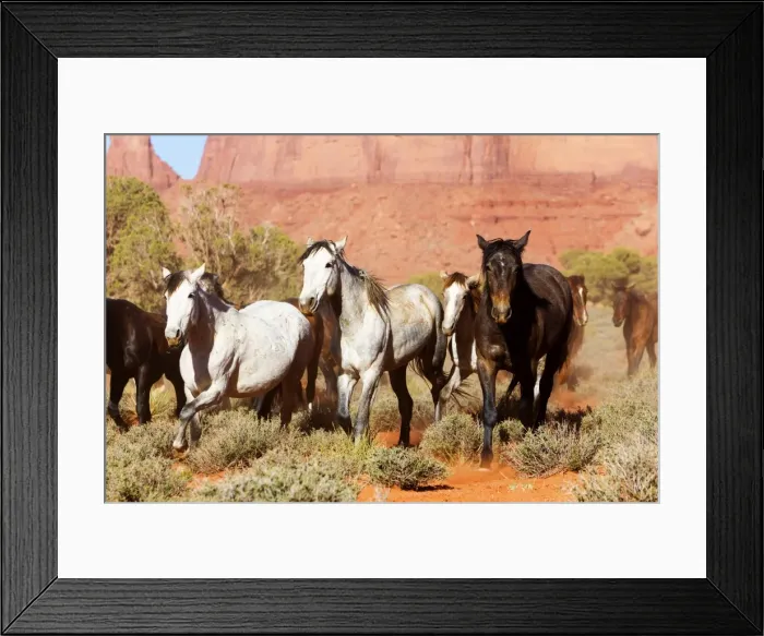Framed Print : Picture No. 10947721 Framed Print : Picture No. 10947721