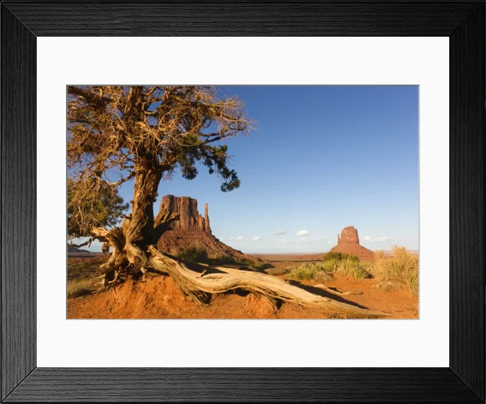 Framed Print : Picture No. 10947720 Framed Print : Picture No. 10947720