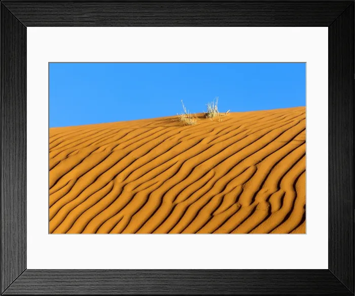 Framed Print : Picture No. 10947725 Framed Print : Picture No. 10947725