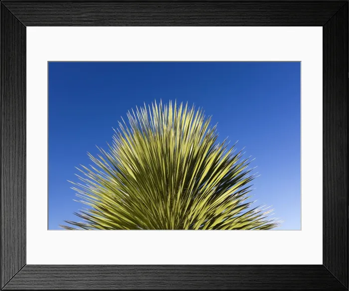 Framed Print : Picture No. 10947737 Framed Print : Picture No. 10947737