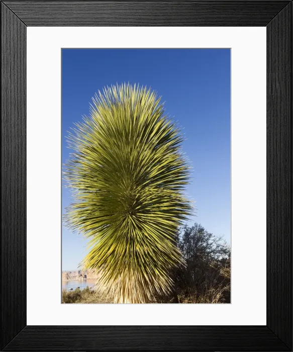 Framed Print : Picture No. 10947736 Framed Print : Picture No. 10947736