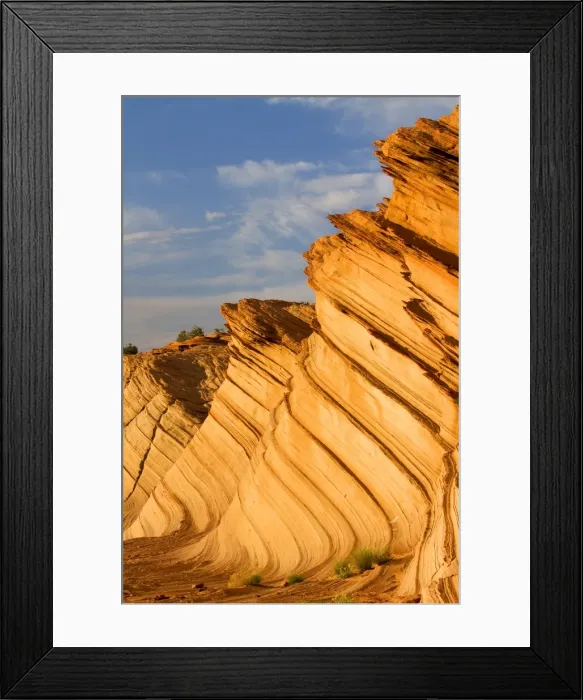 Framed Print : Picture No. 10947765 Framed Print : Picture No. 10947765