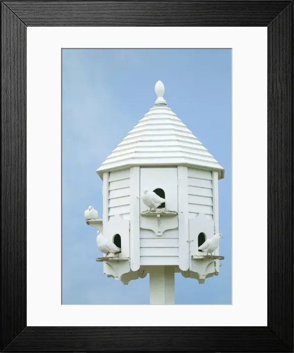 Framed Print : Picture No. 10947776 Framed Print : Picture No. 10947776