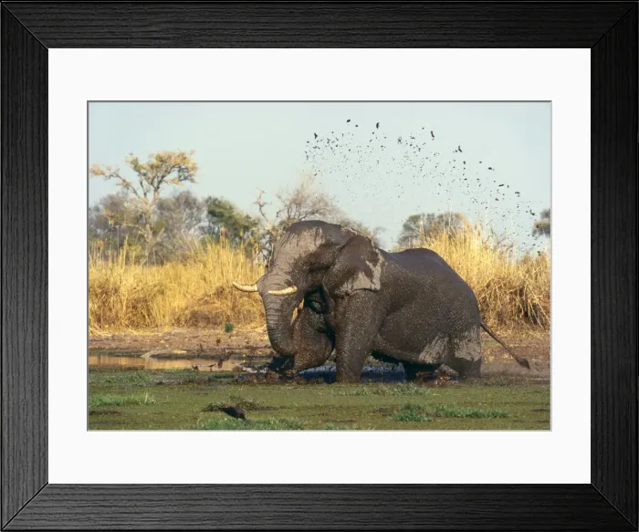 Framed Print : Picture No. 10947778 Framed Print : Picture No. 10947778