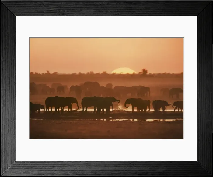 Framed Print : Picture No. 10947781
