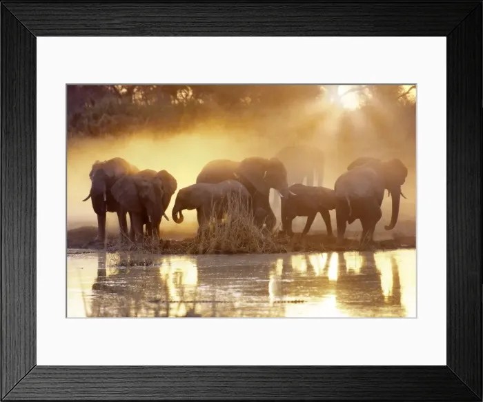 Framed Print : Picture No. 10947779 Framed Print : Picture No. 10947779
