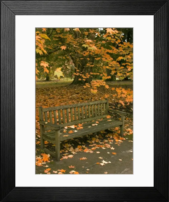 Framed Print : Picture No. 10947784 Framed Print : Picture No. 10947784