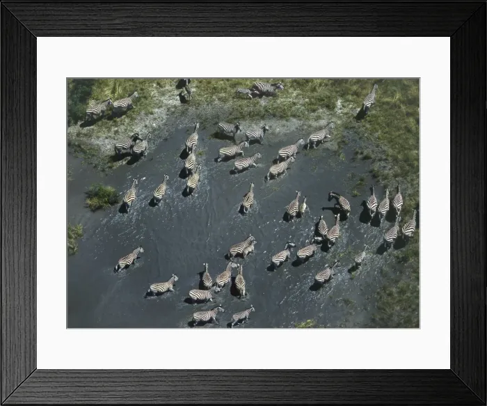 Framed Print : Picture No. 10947786 Framed Print : Picture No. 10947786