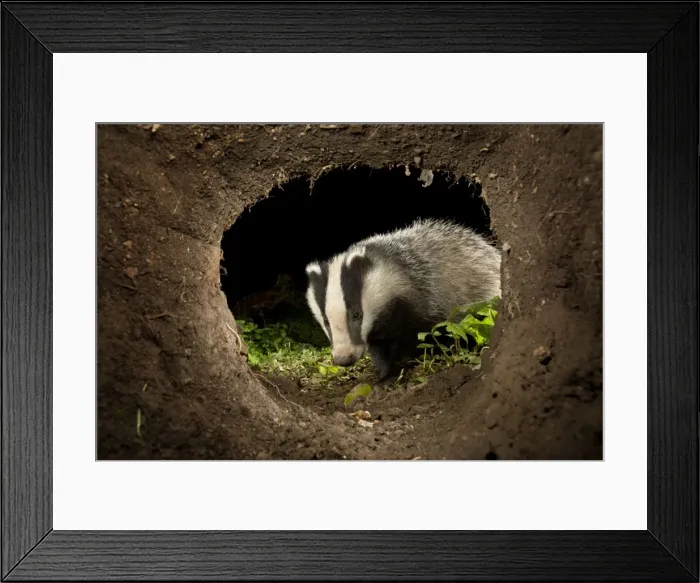 Framed Print : Picture No. 10947788 Framed Print : Picture No. 10947788