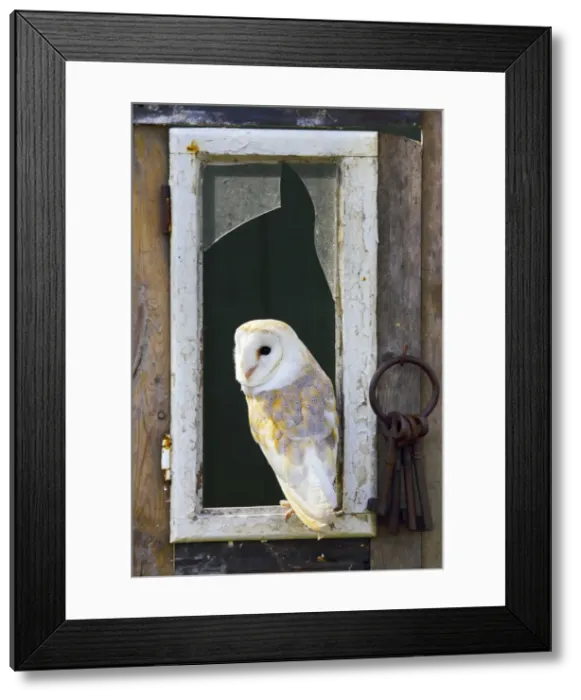 Framed Print : Picture No. 10947790 Framed Print : Picture No. 10947790