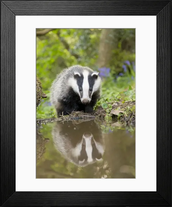 Framed Print : Picture No. 10947789 Framed Print : Picture No. 10947789