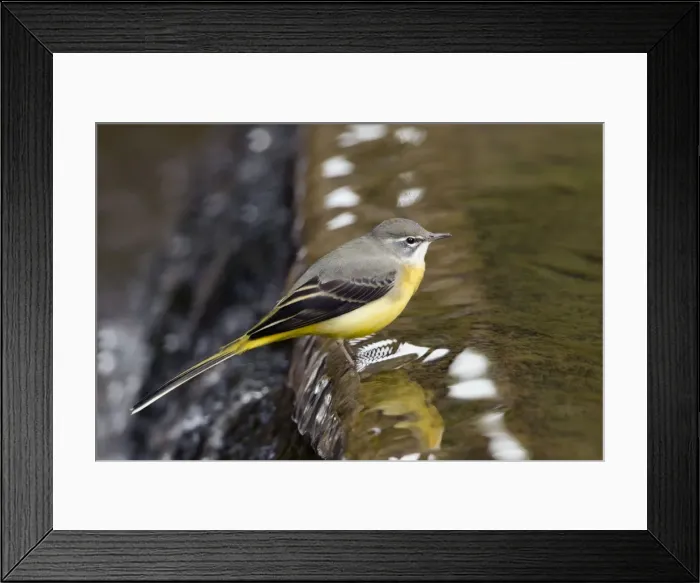 Framed Print : Picture No. 10947804 Framed Print : Picture No. 10947804