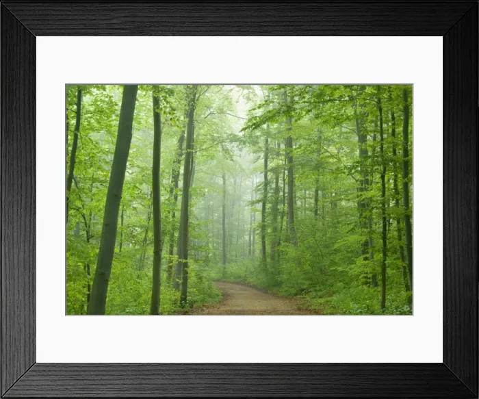 Framed Print : Picture No. 10896881 Framed Print : Picture No. 10896881