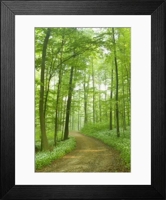Framed Print : Picture No. 10896878 Framed Print : Picture No. 10896878