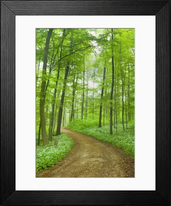 Framed Print : Picture No. 10896876 Framed Print : Picture No. 10896876