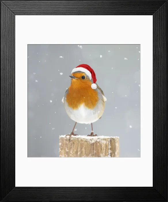 Framed Print : Picture No. 10947888 Framed Print : Picture No. 10947888