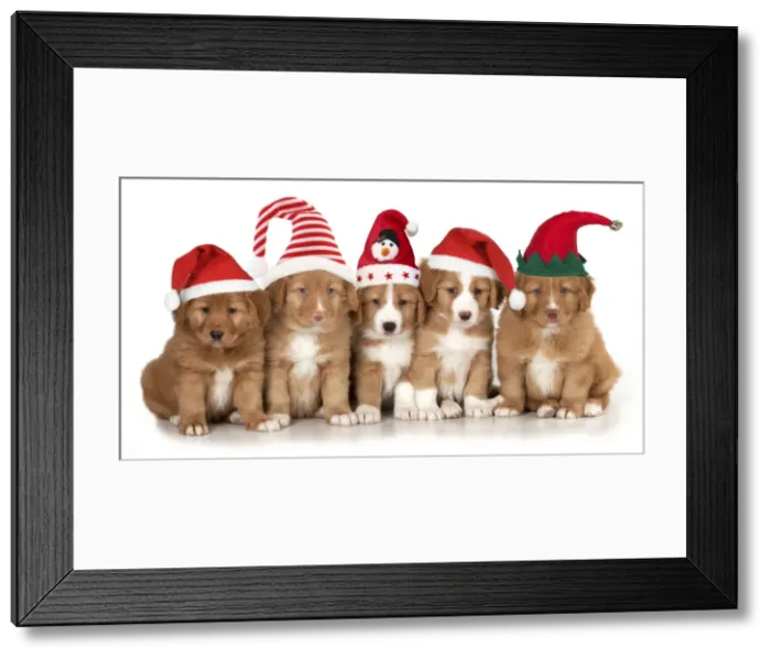 Framed Print : Picture No. 10947889 Framed Print : Picture No. 10947889