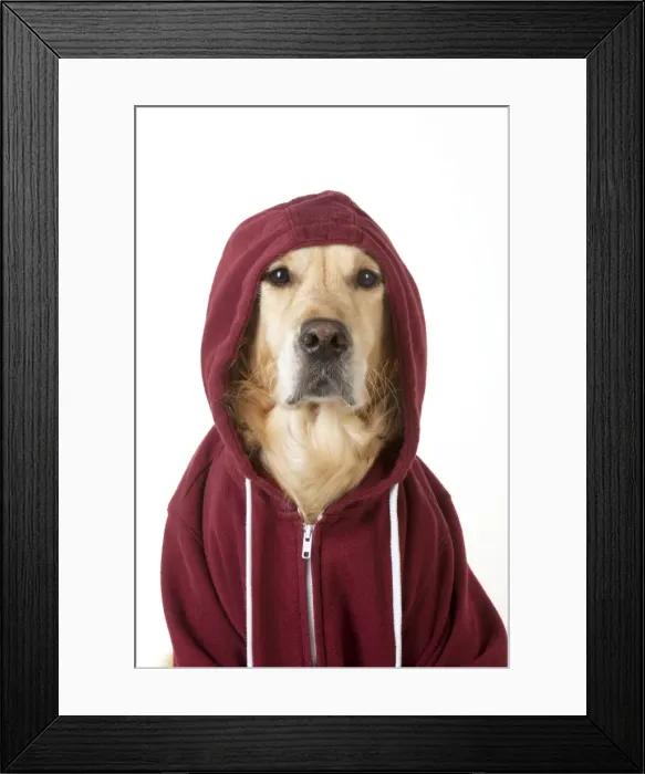 Framed Print : Picture No. 10947890