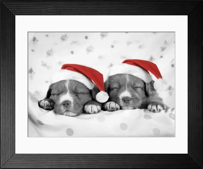 Framed Print : Picture No. 10947885 Framed Print : Picture No. 10947885