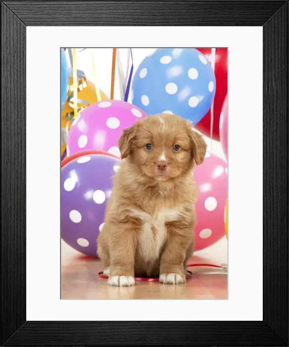 Framed Print : Picture No. 10947892 Framed Print : Picture No. 10947892