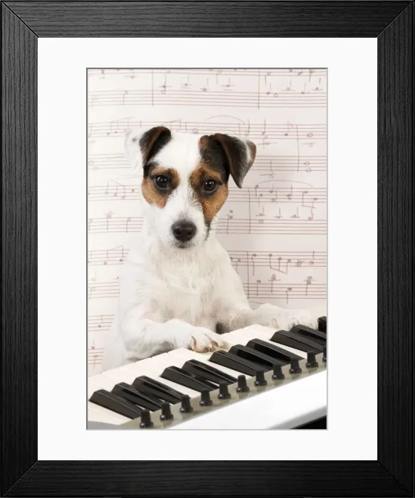 Framed Print : Picture No. 10947896 Framed Print : Picture No. 10947896