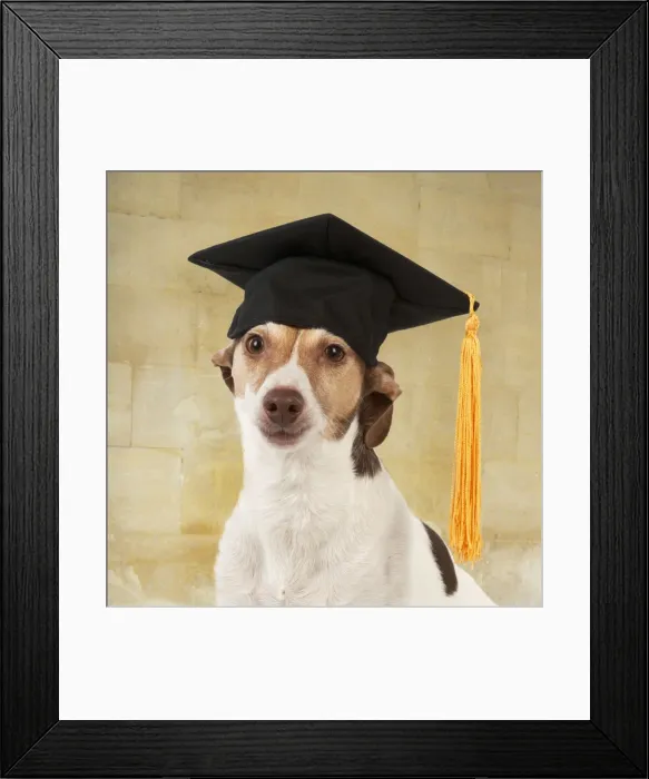 Framed Print : Picture No. 10947895 Framed Print : Picture No. 10947895