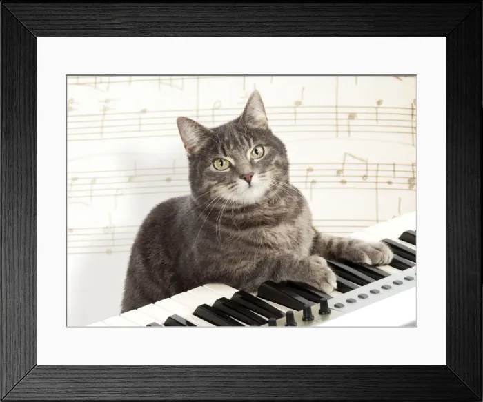 Framed Print : Picture No. 10947897 Framed Print : Picture No. 10947897