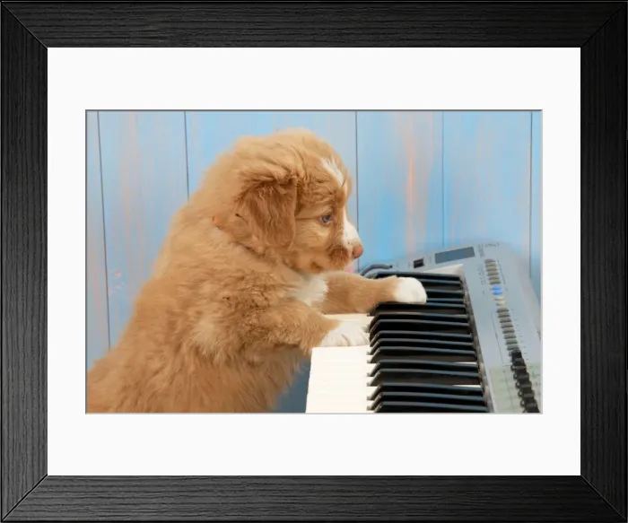 Framed Print : Picture No. 10947893
