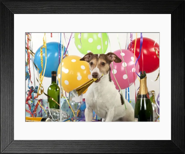 Framed Print : Picture No. 10947894 Framed Print : Picture No. 10947894