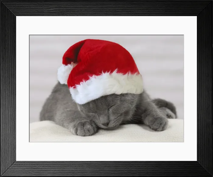 Framed Print : Picture No. 10947902 Framed Print : Picture No. 10947902