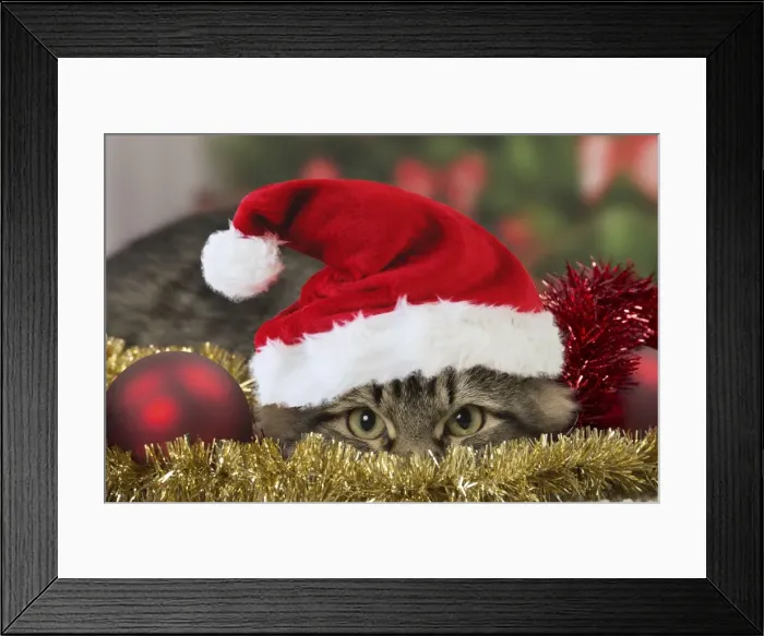 Framed Print : Picture No. 10947903 Framed Print : Picture No. 10947903