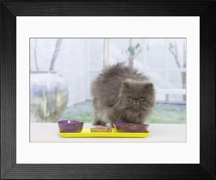 Framed Print : Picture No. 10947918 Framed Print : Picture No. 10947918