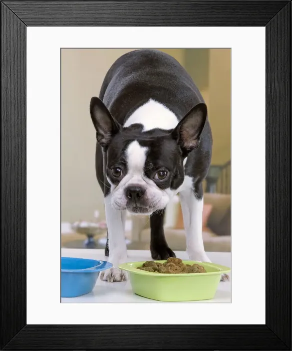 Framed Print : Picture No. 10947919 Framed Print : Picture No. 10947919