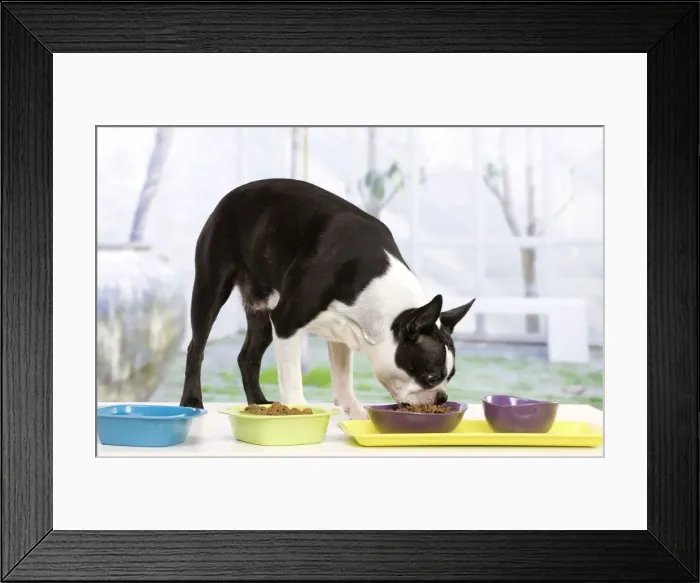 Framed Print : Picture No. 10947920 Framed Print : Picture No. 10947920